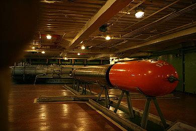 库克与网易CEO丁磊会面 为了观摩一款游戏